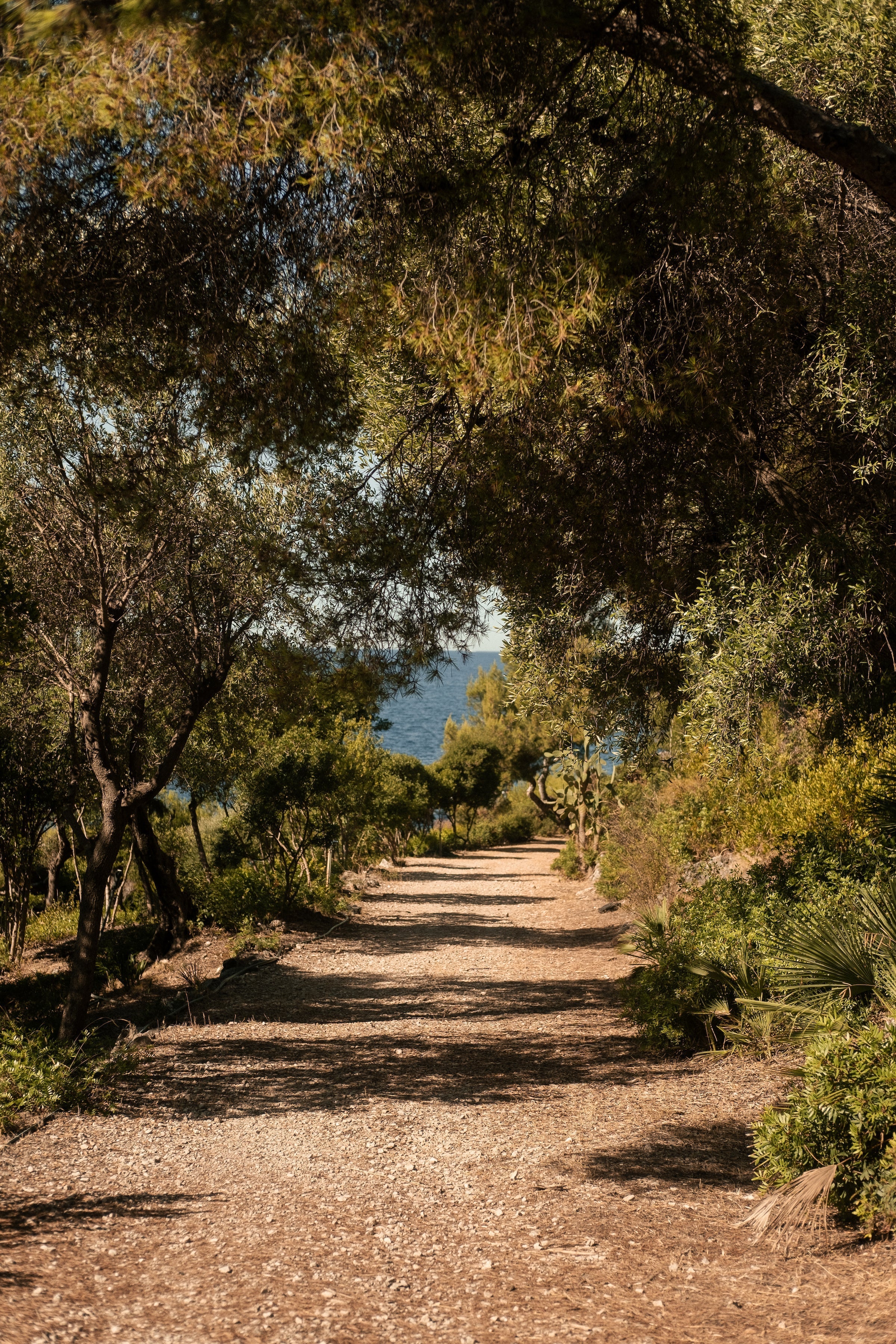 Le jardin d’Hildegarde