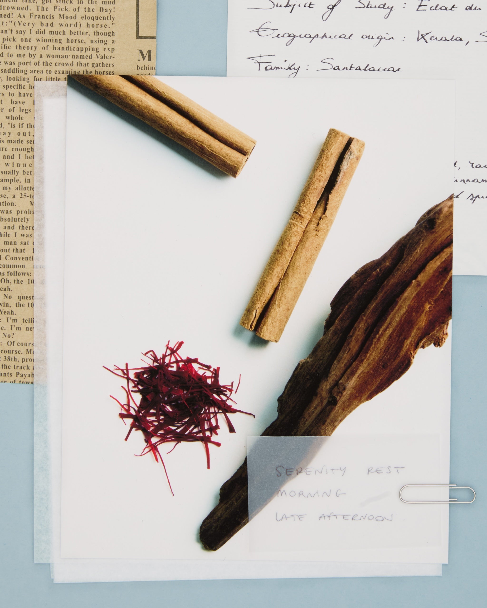 Les vertus des épices